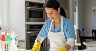 شغالات بالشهر حى بدر